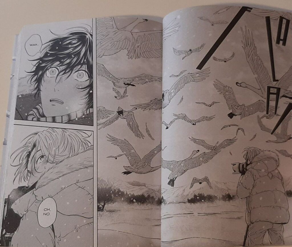 La fata delle nevi - Recensione Manga - Flashbook